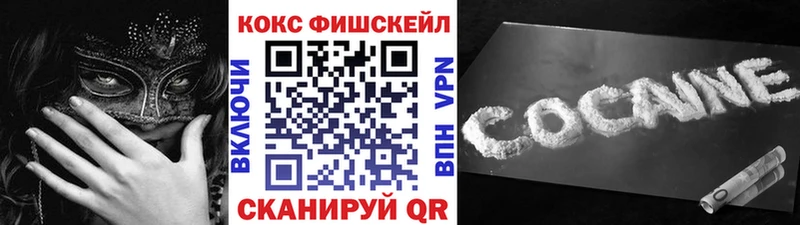 Купить  Кемь  COCAIN Fish Scale 