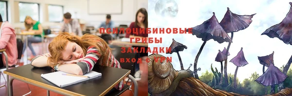 СК Дмитров