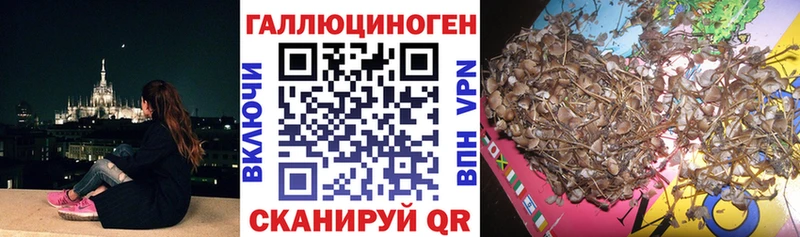 Купить закладки  Кемь  Псилоцибиновые грибы Magic Shrooms 