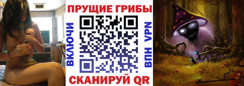 Галлюциногенные грибы MAGIC MUSHROOMS Кемь